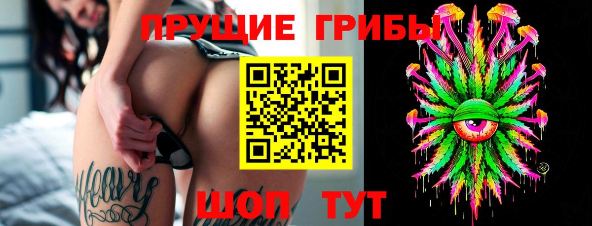 Галлюциногенные грибы ЛСД  Вход с VPN  Тамбов 